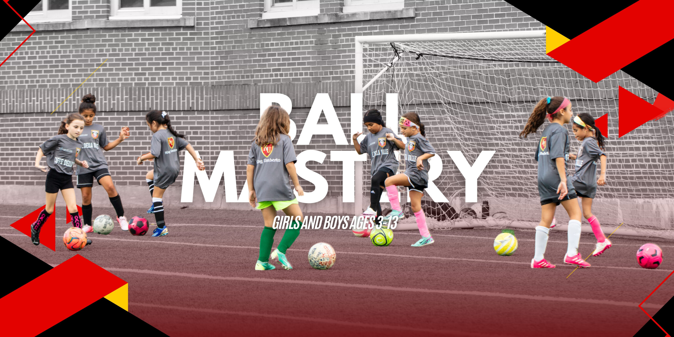 ball-mastery-program